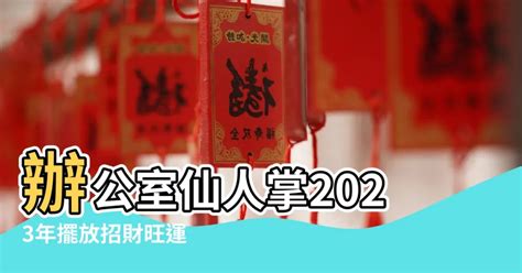 仙人掌風水辦公室2023